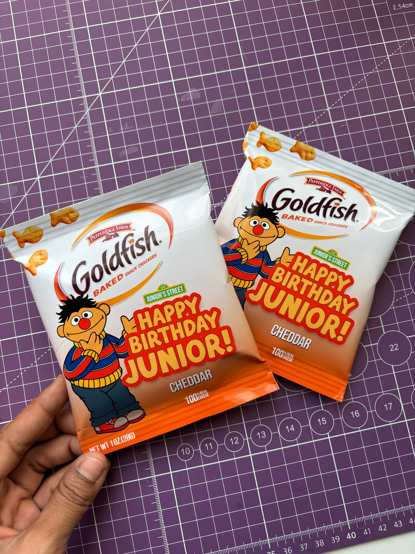 Sesame Street Party Pack